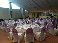 Аренда бантов, чехлов на стулья 502979 Аренда бантов, чехлов на стулья